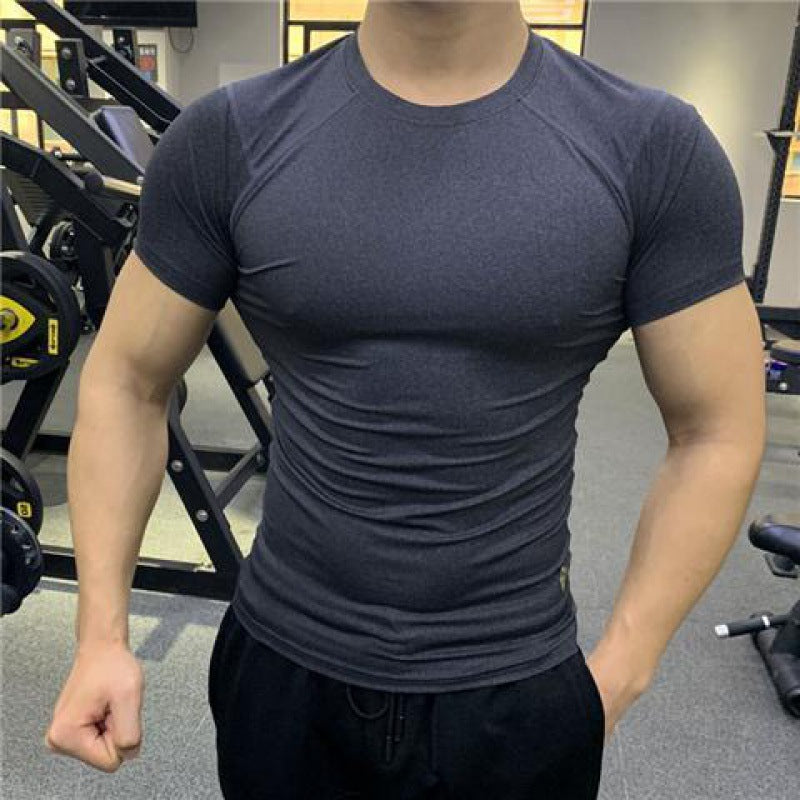 AlphaFit™ Sculpted Training Tee – Slim Performance Fit