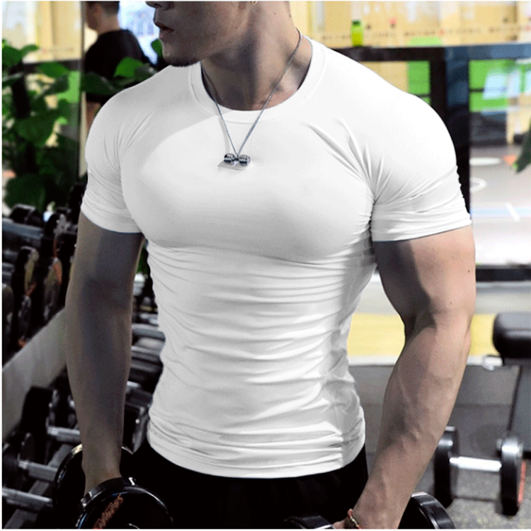AlphaFit™ Sculpted Training Tee – Slim Performance Fit